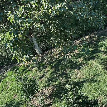 The Garden Dom wakacyjny Tirana